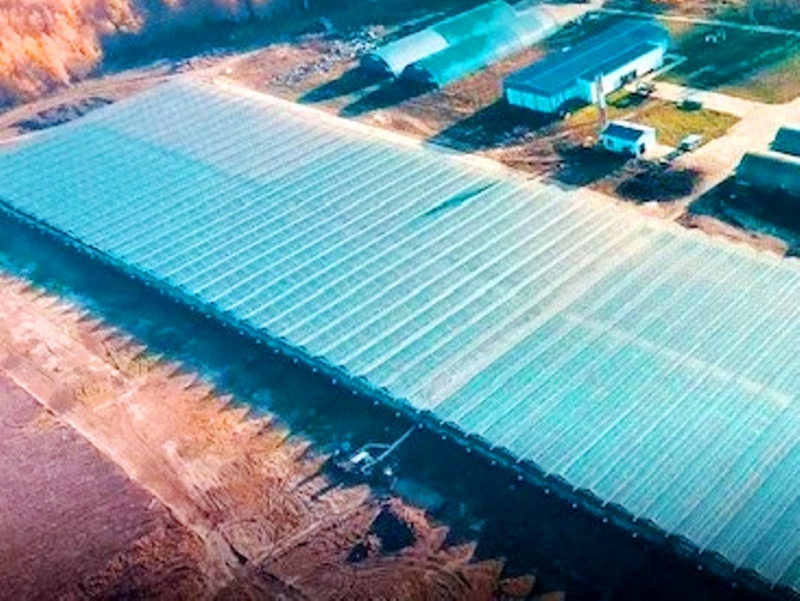 Теплица 25.000кв.м. Газ. Москва всего 60км