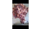Куплю срочно мясо просроченное и некондиционное в Москве