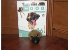 The Dog collection 46 выпуск. Леонбергер