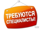 Работа в интернете с официальным трудоустройством