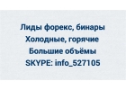 поставщик лидов под Ваш бизнес