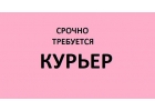 Курьер регистратор на подработку ежедневная оплата 3500 рублей