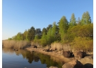Зем.участки на Чудском озере 200км. С.-Петербурга