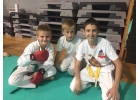 Спорт Единоборства боевые искусства Западные ворота Ростов