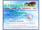 Авто страхование