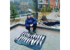 Рыбалка и аренда гостевых домов со всеми удобствами у пруда в Подмосковье.
