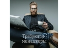 Менеджер консультант