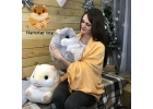 Мягкие игрушки с пледом