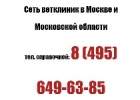 Лечение кошек на дому в Москве