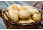 Продам картофель оптом