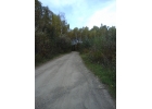 Участок в лесу