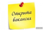 Менеджер по работе с электронными заявками удаленно, подработка