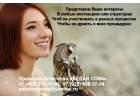 Представительские услуги
