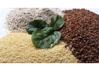 Оптовая продажа бакалейной продукции