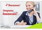 Требуется заместитель руководителя