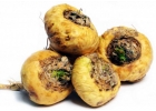 Экстракт Маки перуанской