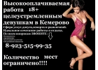 Высокооплачиваемая работа девушкам в Кемерово