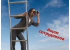 Оператор отдела маркетинга