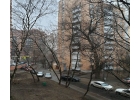 Шикарная однокомнатная квартира в аренду.