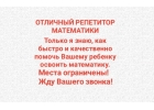 Отличный репетитор математики по скайп.