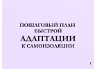 Пошаговый план быстрой адаптации к самоизоляции