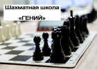 Обучение шахматам по скайпу. Цена урока от 700 руб час