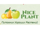 Питомник саженцев Хорошие Растения.