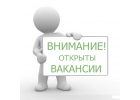 Работа для девушек на дому