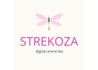 Digital агентство Strekoza-продвижение вашего бизнеса в сети.
