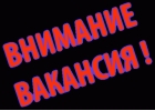 РАБОТА В КАЛИНИНГРАДЕ