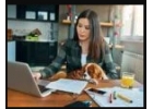 Требуется сотрудник для обработки эл. заявок, удаленно