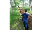 Строительные, Отделочные, Подсобные работы и многое другое.