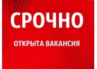 Требуется грузчик - экспедитор