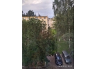 Клин, хорошие соседи.
