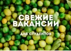 Работаподработка для студентов