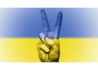 Ищем товар Украинского производителя для реализации на интернет просторах.