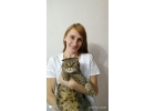 Ветеринарные услуги на дому в Москве