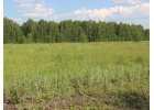 Продам или сдам в аренду земельный участок