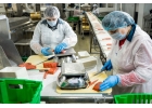 Упаковщикца на рыбообрабатывающее производство вахта