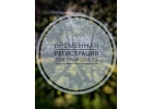 Прописка Красноярск сделать оформить купить