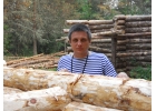 Получение Вами достоверной информации о состоянии нижних венцов деревянного дома