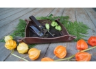Кожаные изделия и аксессуары из кожи
