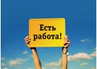 Ищем исполнителей для написания студенческих работ