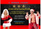 Заказать стриптиз шоу Снегурочки и Дед Мороза