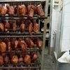 Щепа для копчения оптом