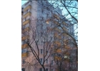 Лот 55292547 Торг строго при просмотре.