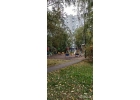 Лот 53954135 Торг строго при просмотре.
