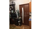Лот 23216889 Торг строго при просмотре.