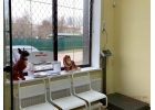 Ветклиника Снежный Барс в Можайске предоставляет весь спектр ветеринарных услуг.