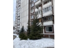 4-комнатная квартира для продажи по доступной цене.